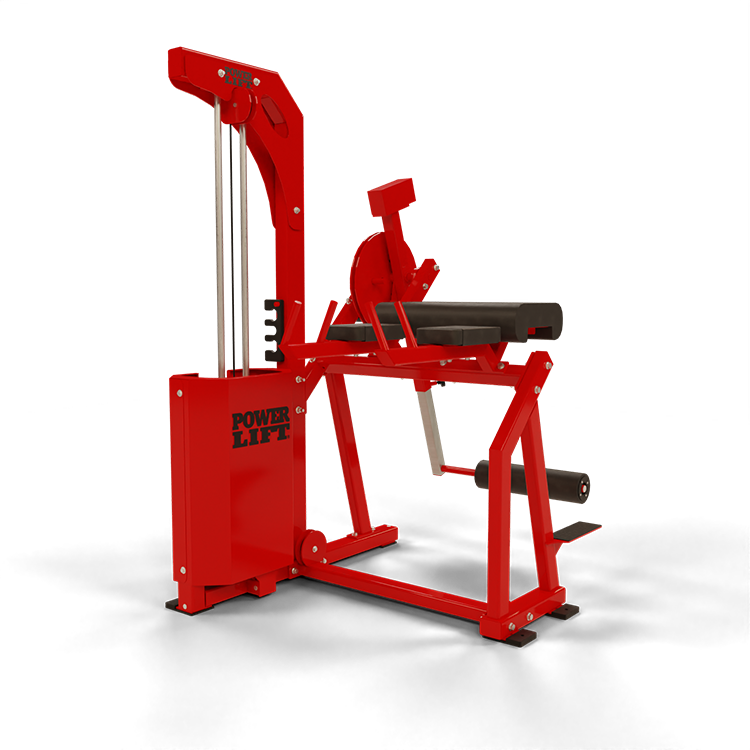 Pro Select Reverse Back Extension Machine | Power Lift